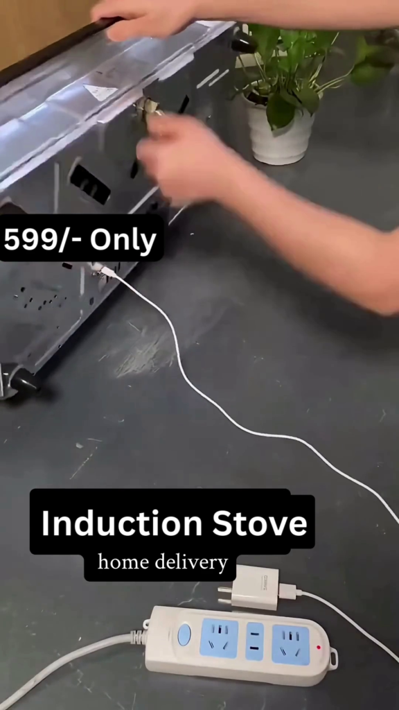 Dual Burner High-Efficiency Induction Stove - Photo 3