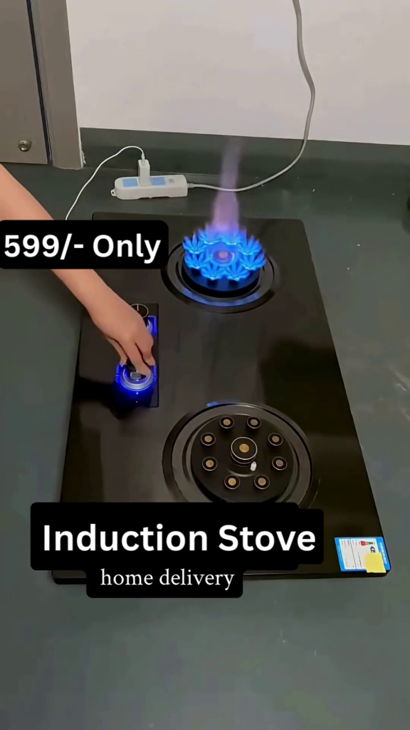 Dual Burner High-Efficiency Induction Stove - Photo 2