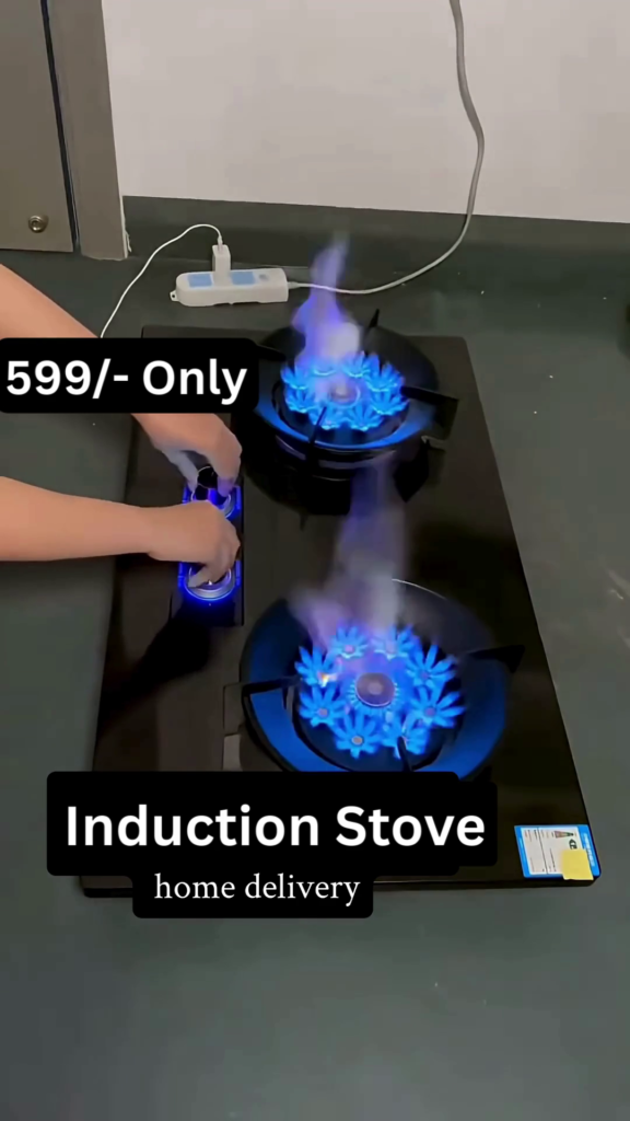 Dual Burner High-Efficiency Induction Stove - Photo 1