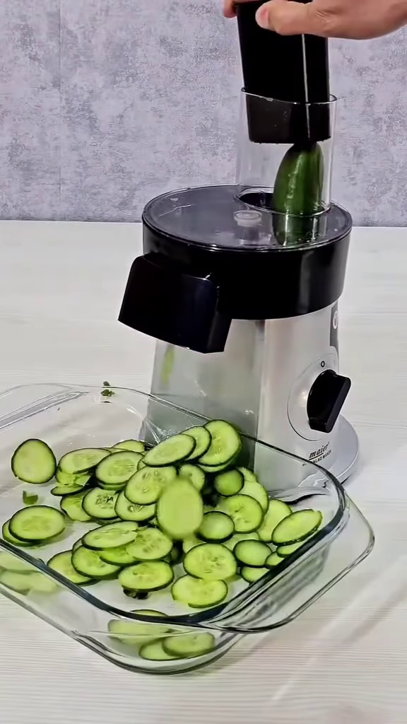 2913-1.png Electric Multi-Function Vegetable Slicer and French Fry Maker