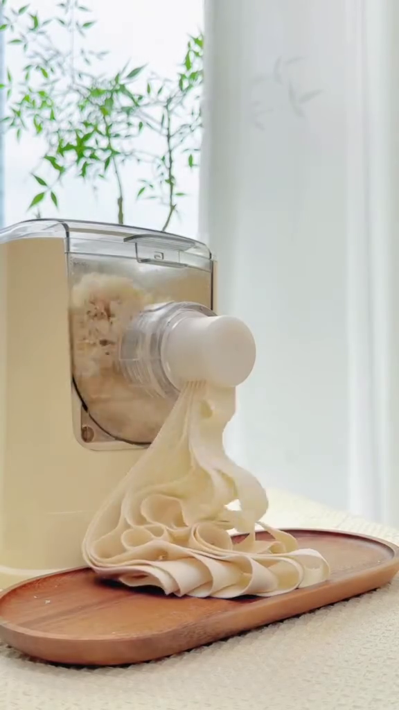 2914-1.png Automatic Fresh Pasta and Noodle Maker Machine