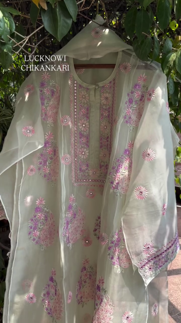 3203-1.png Elegant Chikankari Kurta with Mirror Work