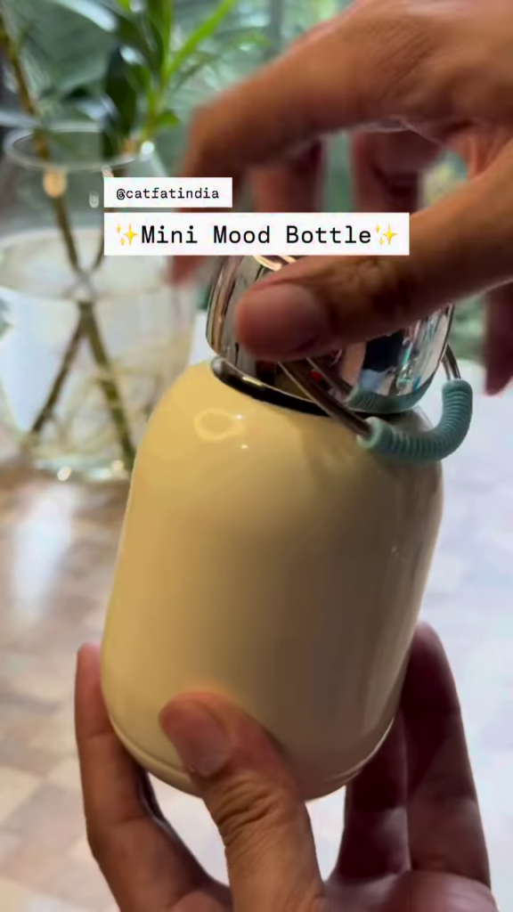 Insulated Mini "Mood" Bottle with Carrying Handle - Photo 1