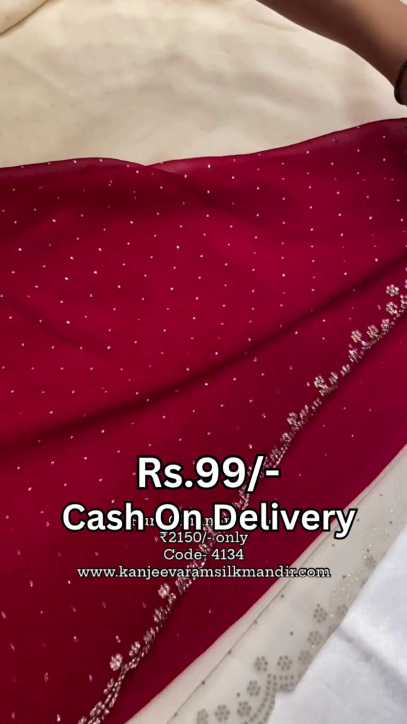 Ivory Starlight Saree with Ruby Velvet Accents - Photo 2