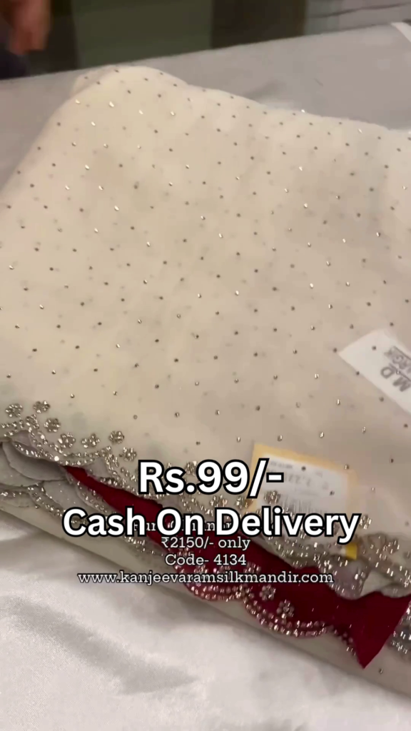 Ivory Starlight Saree with Ruby Velvet Accents - Photo 1